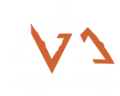 Msd Logo